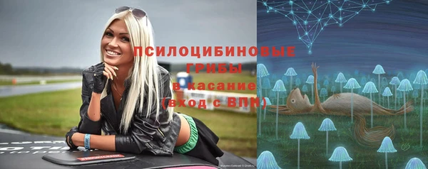 Альфа ПВП Елизово