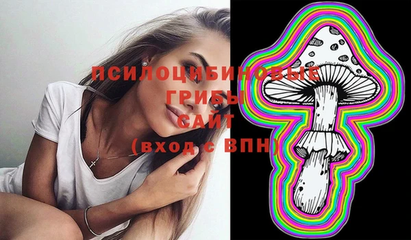 шишки Елабуга