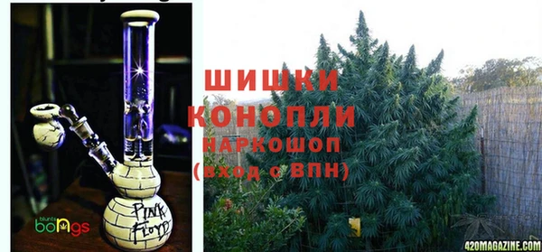 Альфа ПВП Елизово