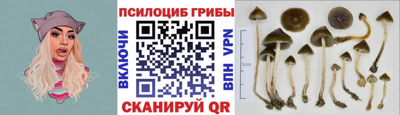 Псилоцибиновые грибы прущие грибы где продают Исилькуль